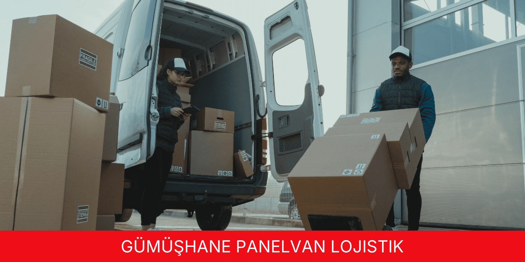 Panelvan Lojistik