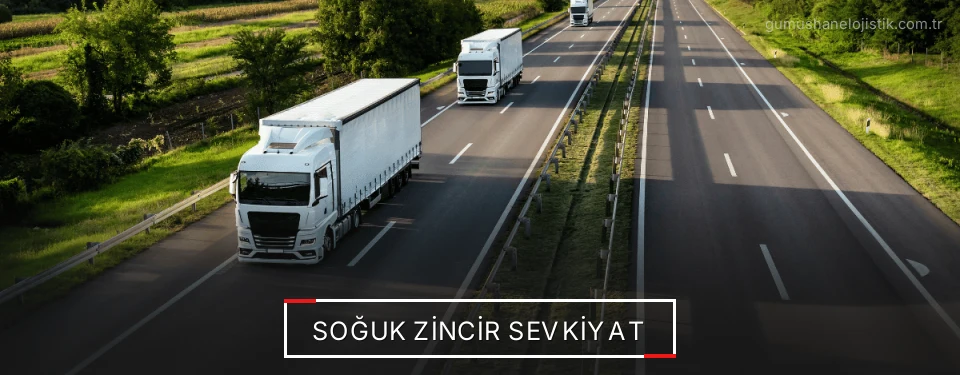 Gümüşhane Soğuk Zincir Sevkiyat Çözümleri
