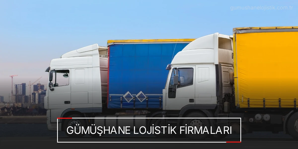 İstanbul Gümüşhane Lojistik Hızlı Teslimat ve Güvenli Depolama