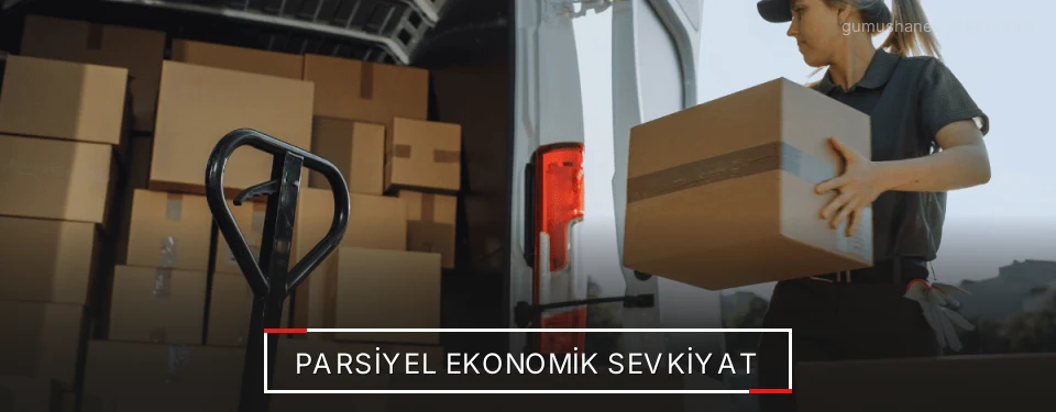 Gümüşhane Parsiyel Yük Lojistik Firmaları